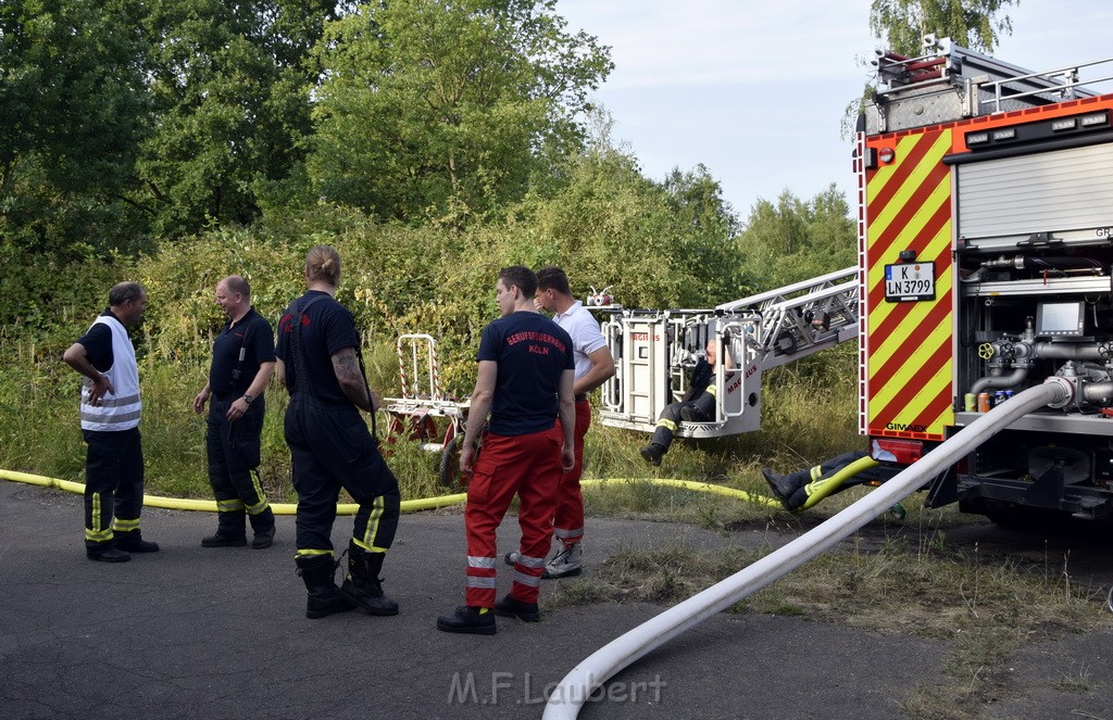 Waldbrand Koeln Hoehenhaus Hoehenfelder Mauspfad P166.JPG - Miklos Laubert